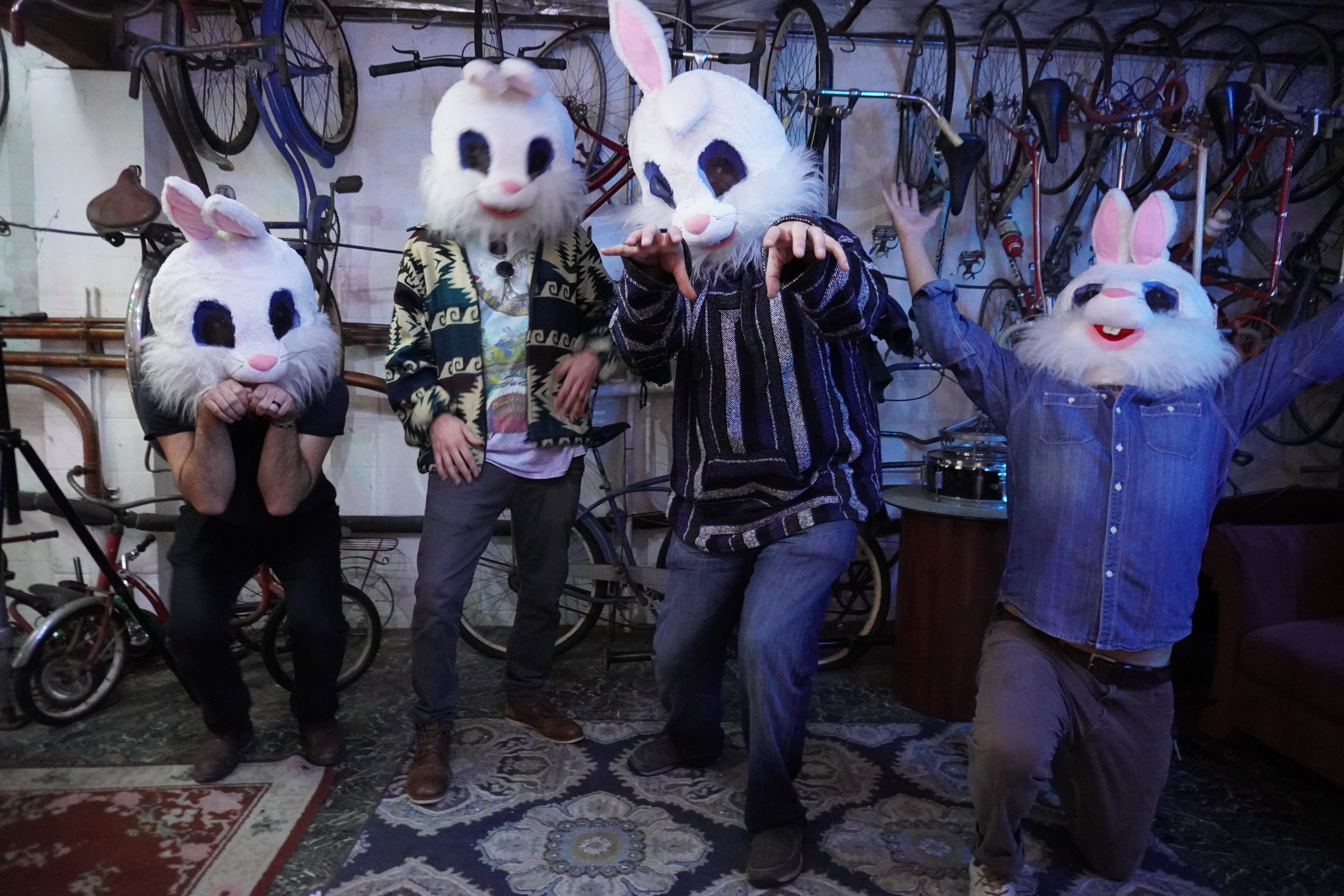 Five Wild Hares in rabbit head costumes